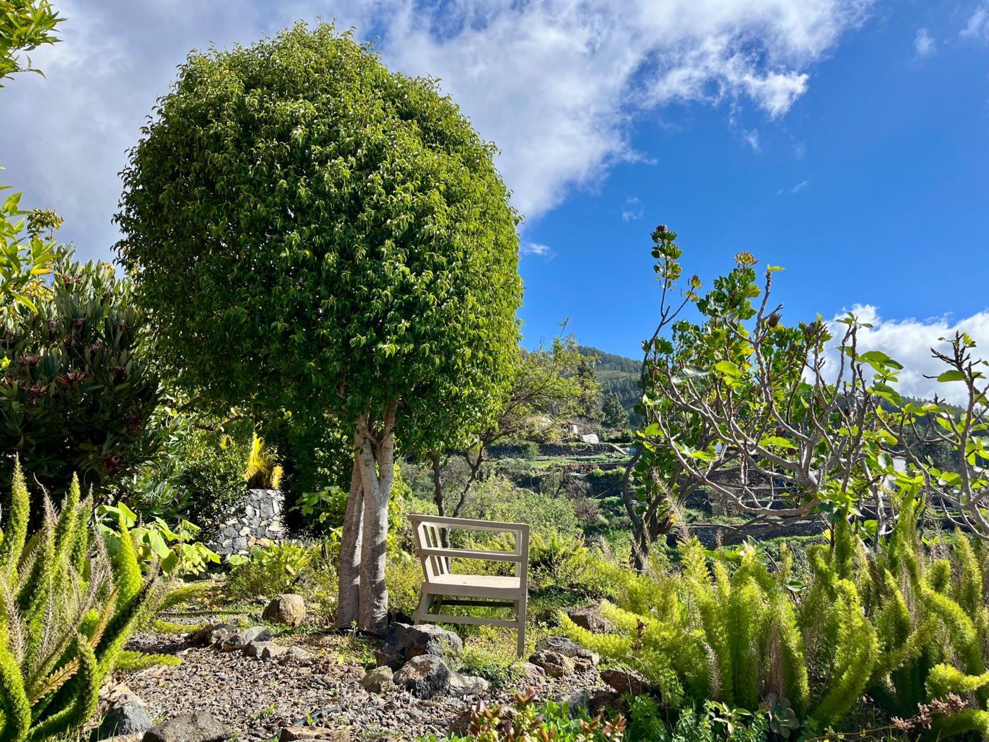 Villa Buena Vista Tijarafe Exterior photo